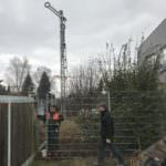 Umgestaltung Vorgarten